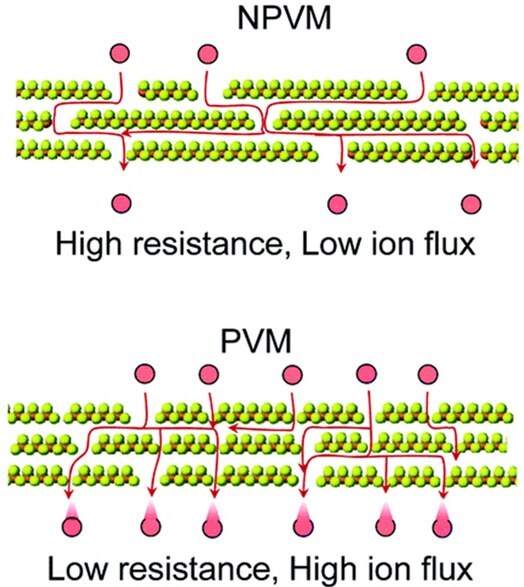 Schematic highlighting lowest resistance pathways of ion transport in a PVM Schematic illustration highlighting the pathways of the lowest resistance of ion transport in a PVM