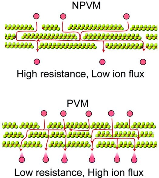 Schematic illustration highlighting the pathways of the lowest resistance of ion transport in a PVM