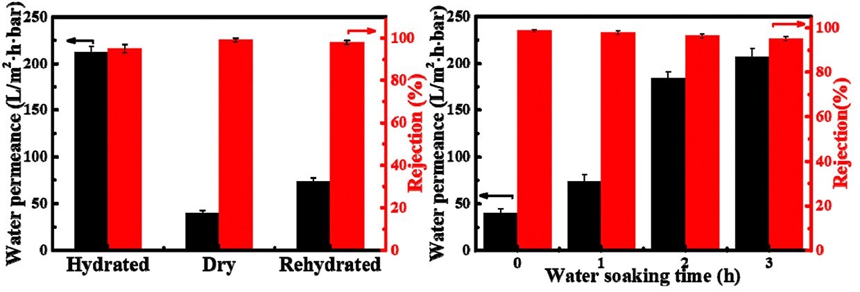 Effect of membrane hydration on the separation performance of MMT membrane