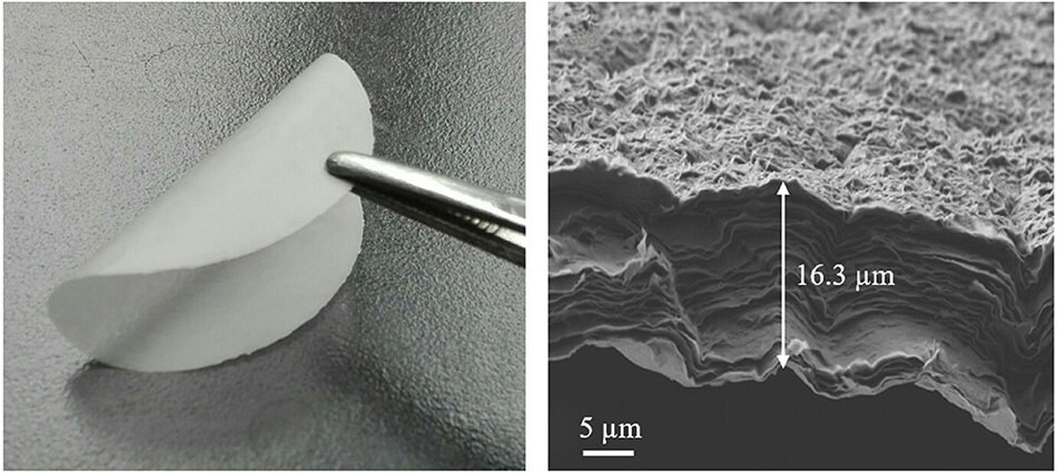 MMT membrane photo and SEM image Digital photo MMT membrane and cross-sectional SEM image