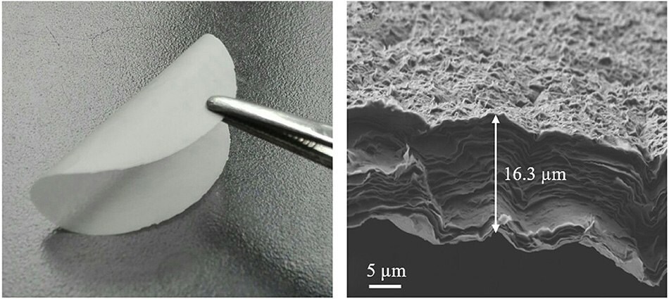 Digital photo MMT membrane and cross-sectional SEM image