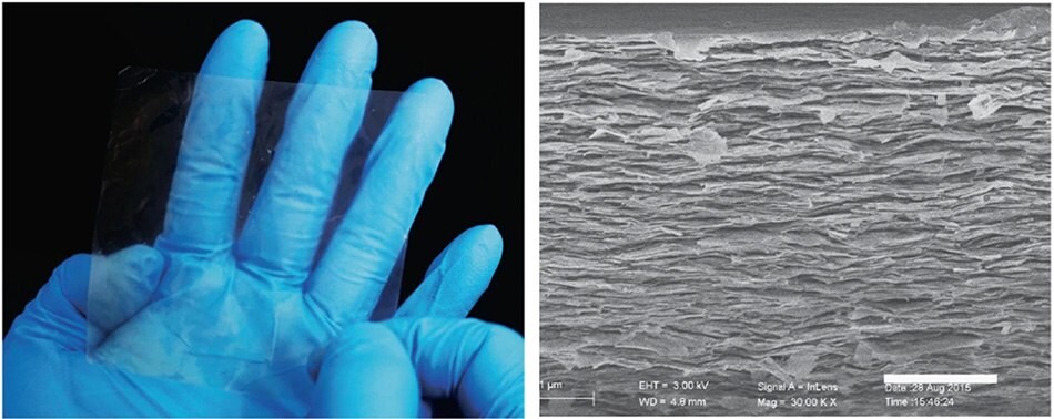 Photograph and cross-sectional SEM image (scale bar, 2 μm) of a 60 wt.% polymeric mica film