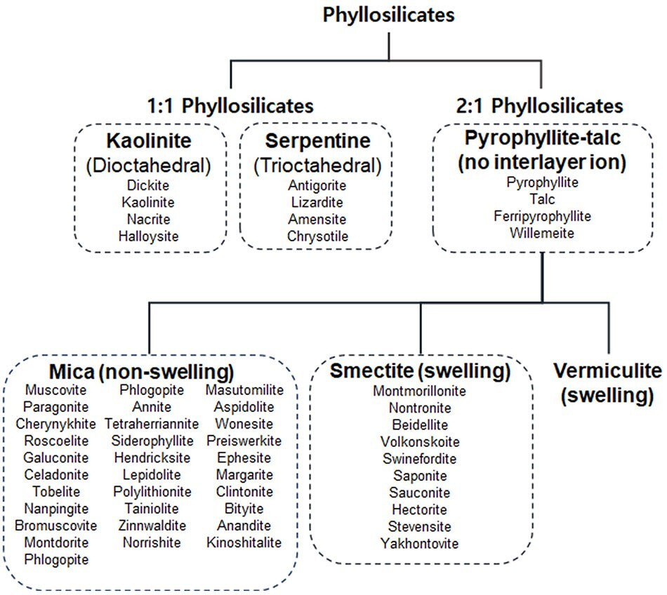 Relationships of clay mineral groups Relationship between kaolinite, serpentine, pyrophyllite-talc, mica, smectite, and vermiculite group