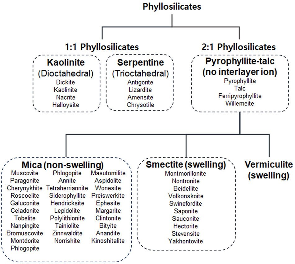 Relationship between kaolinite, serpentine, pyrophyllite-talc, mica, smectite, and vermiculite group