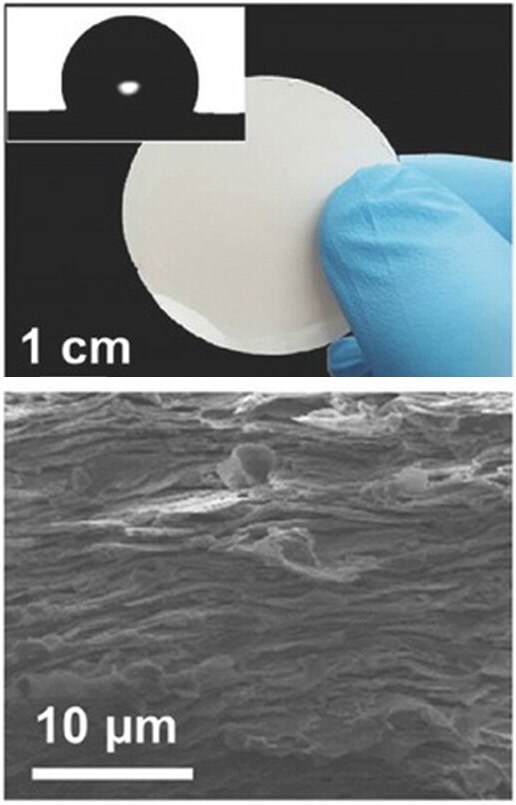 Photograph of RKM and SEM observation on the cross-section of the RKM