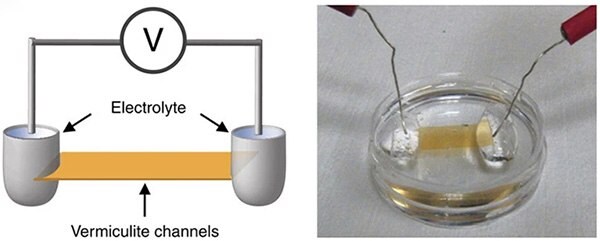 Schematic and photo of vermiculite nanofluidic device Schematic illustration and digital photo of the vermiculite nanofluidic device