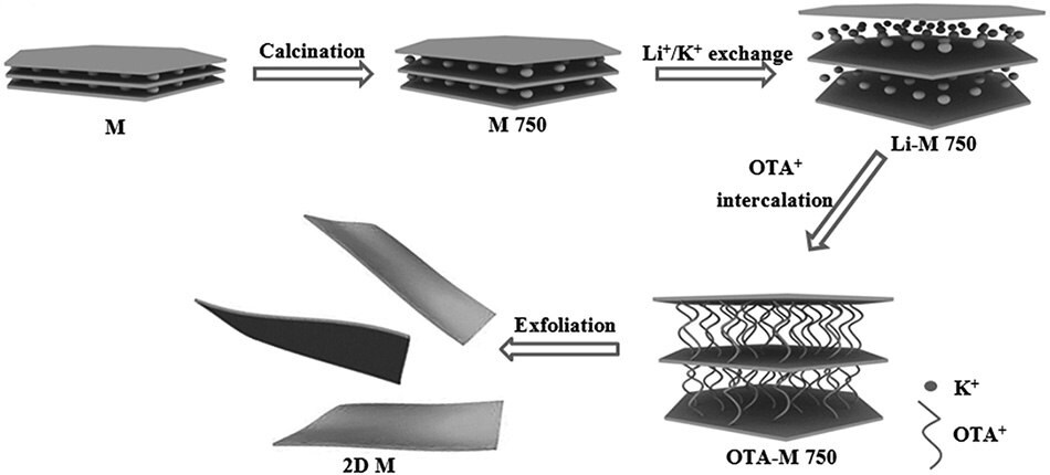 Schematic representation of 2D muscovite preparation