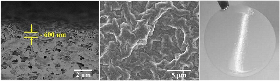 SEM and digital photograph of MMT membrane SEM image of MMT membrane surface, cross-section, and digital photograph of MMT membrane