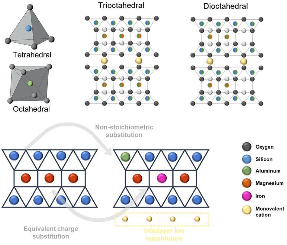 Schematic of trioctahedral and dioctahedral structures Schematic illustration of trioctahedral and dioctahedral structure with intercalation sites and pathways.