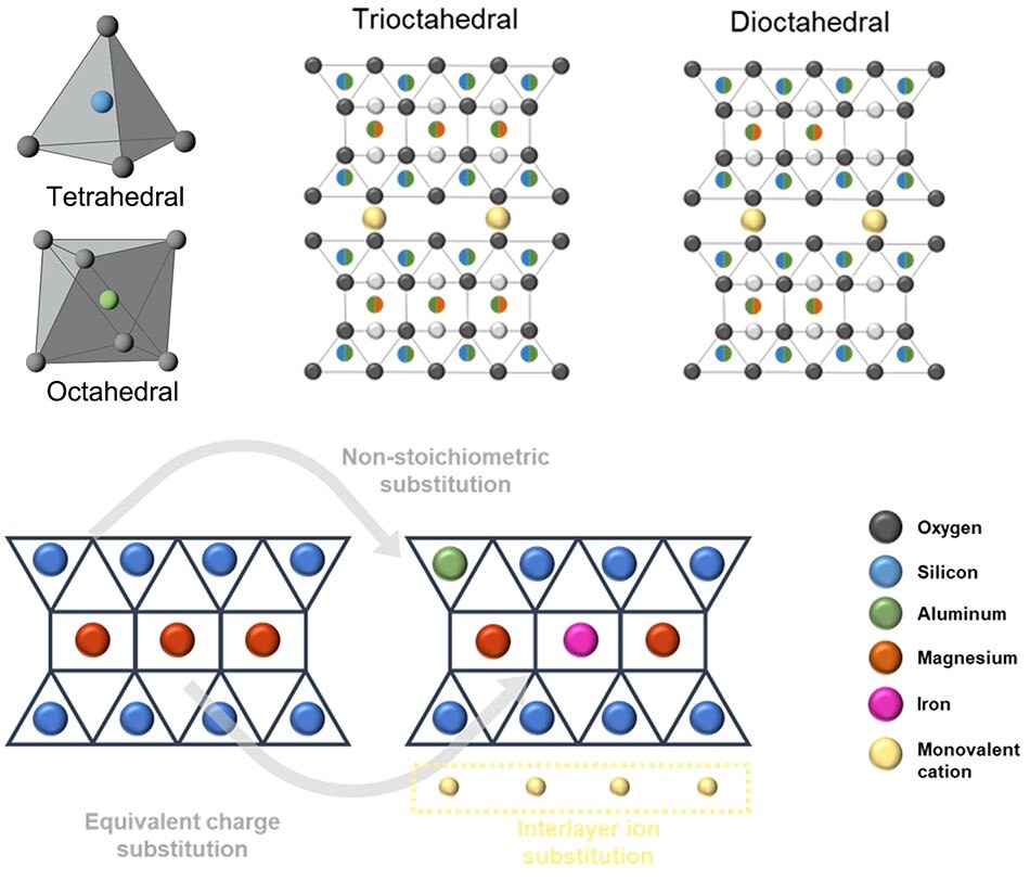 Schematic illustration of trioctahedral and dioctahedral structure with intercalation sites and pathways.