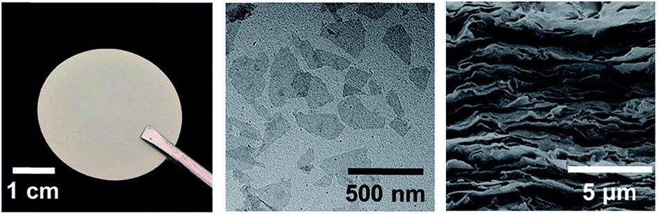 TEM image, digital photograph, and crosssectional SEM image of an RMM