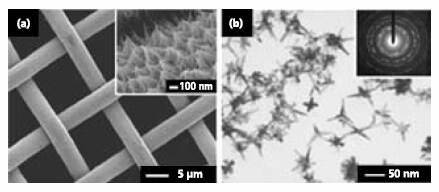Platinum nanostructures synthesized by the modified polyol process.