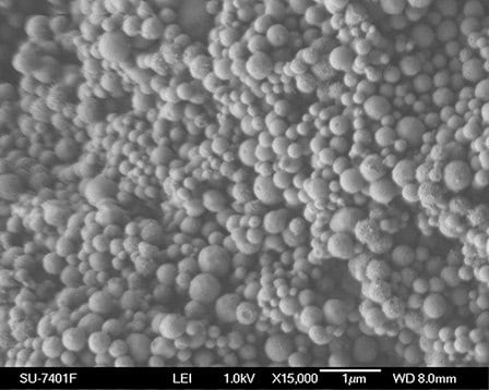 Scanning Electron Microscopy image of a typical mesoporous silica material. Scanning Electron Microscopy image of a typical mesoporous silica material such as those offered by Aldrich Materials Science