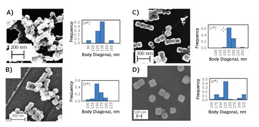 SEM images and respective size distribution 