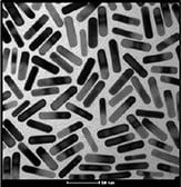 MATERIAL MATTERS, Volume 12, Number 1 TEM image of typical gold nanorods