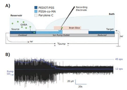 Chemical release with organic electronic ion pumps