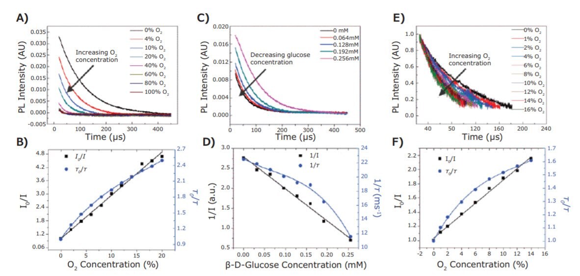 effect-concentration-gas-phase The effect of concentration of gas-phase O2
