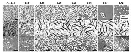 Effect of mole fraction of styrene