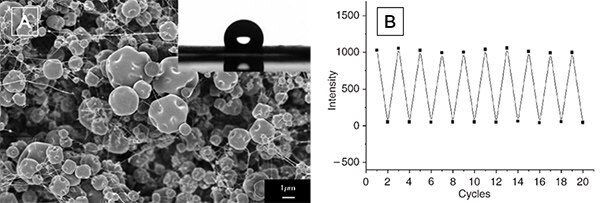 AIE Luminogens: A Family of New Materials with Multifaceted Functionalities (A) SEM image of electrospun film of HPS/PMMA composite