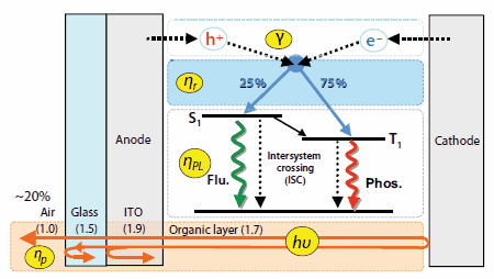 OLED luminescence processes (carrier injection, transport, recombination, exciton formation/decay, and light extraction) and their efficiencies. Figures in parentheses represent refractive indices.