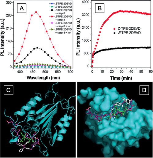 PL spectra of E- and Z-TPE-2DEVD before and after incubation with caspase-3