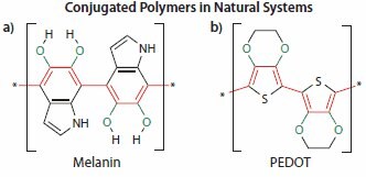 Conjugated polymers in natural system Conjugated polymers in natural system