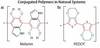 Conjugated polymers in natural system