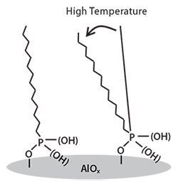 Schematic illustration of SAM