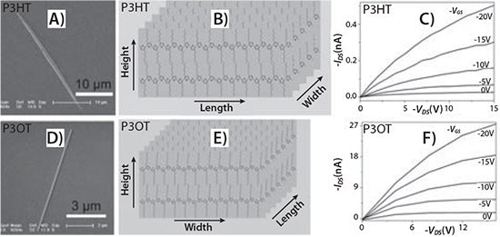 A) TEM image of a P3HT crystal. B) Schematic illustration of the crystal structure of P3HT. C) Output characteristic of FETs based on a P3HT crystal. D) TEM image of a P3OTcrystal. E) Schematic illustration of the crystal structure of P3OT. F) Output characteristic of FETs based on a P3OT crystal