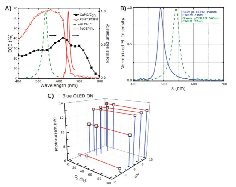  EQEs of CuPc/C70 and P3HT:PCBM based OPDs. The device structures are ITO/1 nm LiF/15 nm CuPc/30 nm C70/3.5 nm BPhen/120 nm Al and ITO/PEDOT:PSS/P3HT:PCBM/ Ca/Al. Also shown are the EL of the green µC OLED (green dashed line) and red PL of the PtOEP:PEG:PS sensing film (red line). B) The EL of the green and blue µC OLEDs. C) The signal intensity detected by the P3HT:PCBM OPD at different O2 and pH levels with the blue µC OLED. Reprinted with permission from reference 8, copyright 2013 Elsevier B.V.