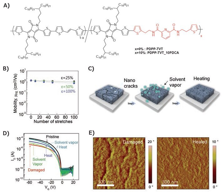 Stress Dissipation and Healing Mechanism through Hydrogen Bonding