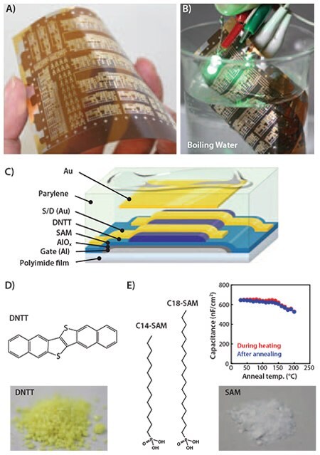 Dinaphtho-[2,3-b:2,3-f]-thieno-[3,2-b]-thiophene (DNTT) transistors and circuit