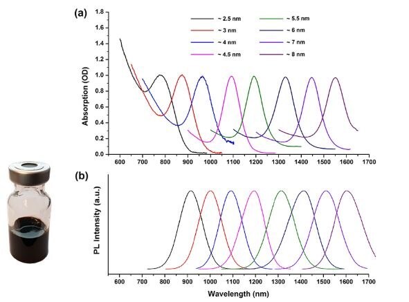 Absorption and emission wavelengths of ~ 4 nm PbS quantum dots. Graphical representation of absorption and emission wavelengths for approximately 4 nm lead sulfide (PbS) quantum dots. Panel (a) shows a series of overlapping curves representing absorption coefficients (Y-axis) across a range of wavelengths from 600 to 1700 nanometers (X-axis). Each curve is labeled with a different quantum dot size from 2.5 nm to 8.0 nm, indicating the size-dependent shift in absorption peaks. Panel (b) displays corresponding photoluminescence intensity curves with similar size-dependent wavelength shifts. Below the graphs, an image of a small glass jar containing dark blue liquid, presumably the PbS quantum dots solution, is shown.
