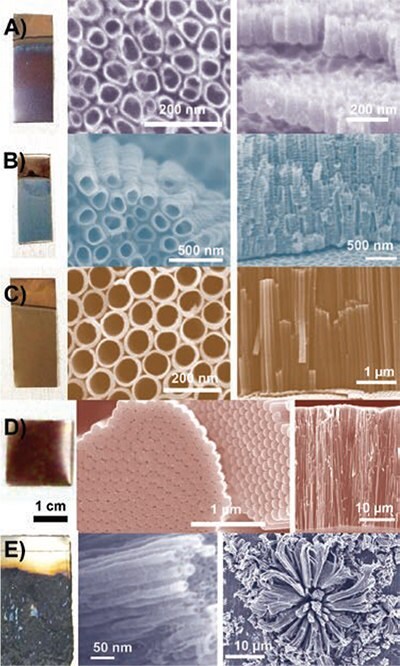 Digital pictures of the samples and frontal