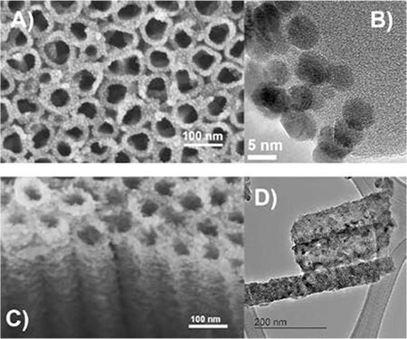 HRTEM images of TiNT arrays deposited