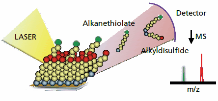 matrixassisted laser desorption-ionization mass spectrometry