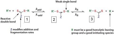 Mechanism for reversible addition-fragmentation chain transfer