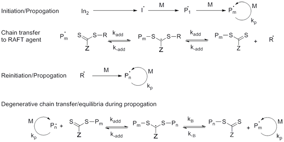 RAFT polymerization process