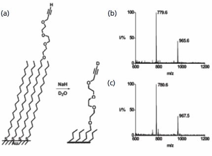 SAMDI MS is used to characterize the exchange of hydrogen for deuterium in a terminal alkyne