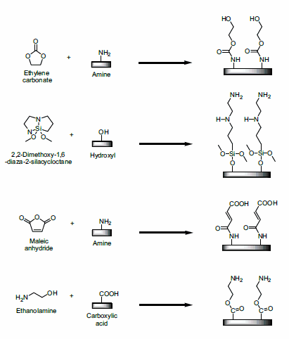 Examples of various reactions involving ring-opening or heterobifunctional reactants.
