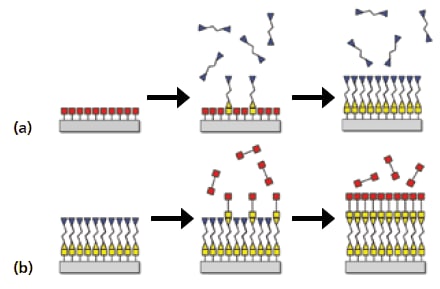 Schematic of the molecular layer deposition (MLD) method based on sequential, self-limiting surface reactions.