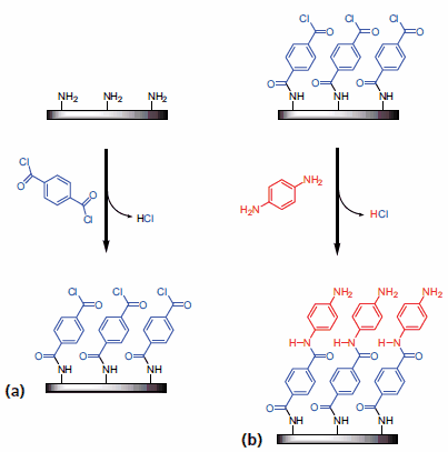 Illustration of the surface chemistry for poly(p-phenylene terephthalamide) MLD