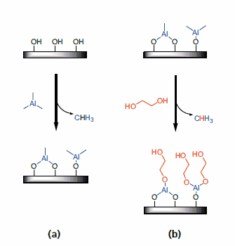 聚（铝乙二醇）MLD的表面化学的示意图