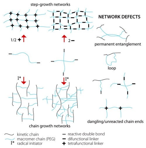 Formation mechanism affects hydrogel network structure and network defects