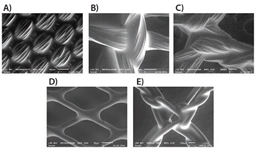 SEM images of Regenerez coatings deposited