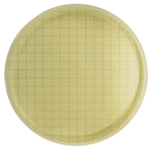 Agar plate, microbial membrane Alt text: Agar plate with membrane, no bacteria colonies visible
