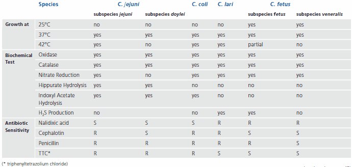 Table of differentiating characteristics of Campylobacter