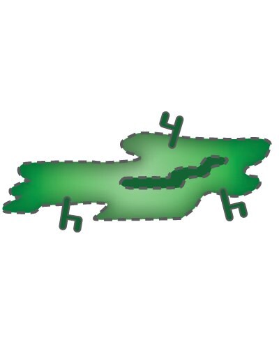 Antibody-dependent cell-mediated cytotoxicity