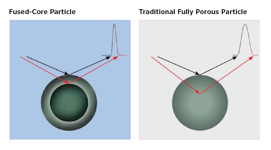 Comparison of diffusion paths in Fused-Core® Particles and Traditional Fully Porous Particles Illustration showing shorter diffusion paths in Fused-Core® Particles in comparison with Traditional Fully Porous Particles.