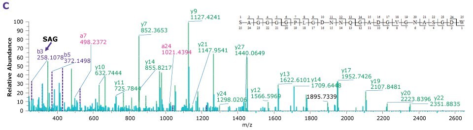 Product ion spectra providing sequence coverage of VP1, VP2, and VP3 N-termini as well as C-terminus of each Four product ion spectra providing the sequence coverage of VP1, VP2, and VP3 N-termini as well as C-terminus of each indicating the observed mass fragments.